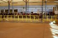 Public 4