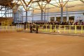 Public 5